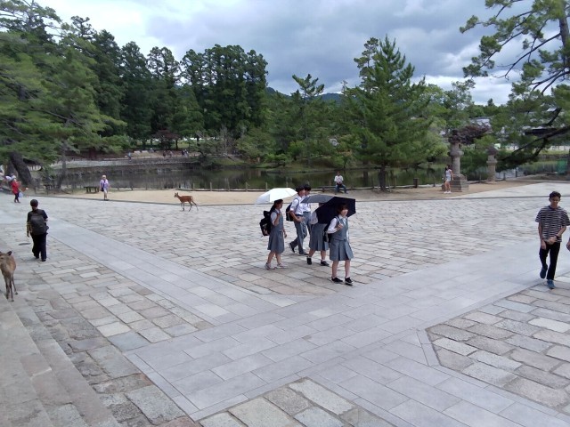班別行動中の生徒