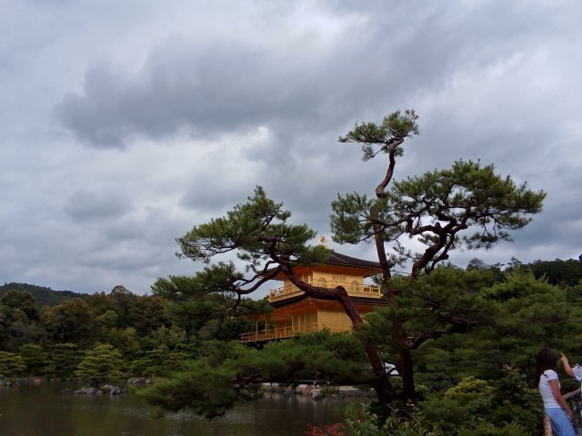 金閣寺の美しさに感動